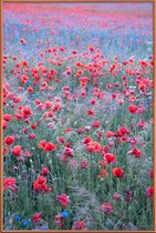 JUNIQE - Poster met kunststof lijst Poppy Seed Heaven -30x45 /Groen &