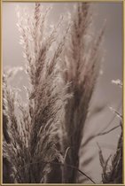 JUNIQE - Poster met kunststof lijst Pampas Reed 06 -20x30 /Bruin