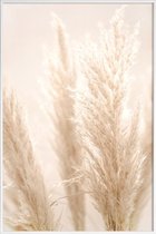 JUNIQE - Poster in kunststof lijst Pampas Reed 8 -20x30 /Ivoor & Wit