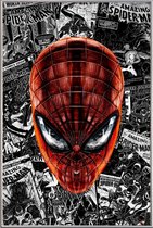 JUNIQE - Poster met kunststof lijst The Spider-Man - Een stripheld