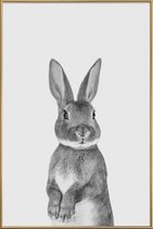 JUNIQE - Poster met kunststof lijst Paws & Claws	Bunny -60x90 /Wit &