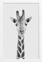 JUNIQE - Poster in houten lijst Giraffe Classic -60x90 /Wit & Zwart