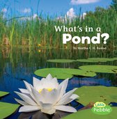 What's In There? - What's in a Pond?