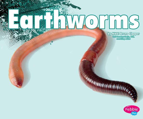 Foto: Creepy crawlers earthworms