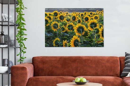Tableau Toile Tournesols - Printemps - Jaune - 140x90 cm - Décoration murale