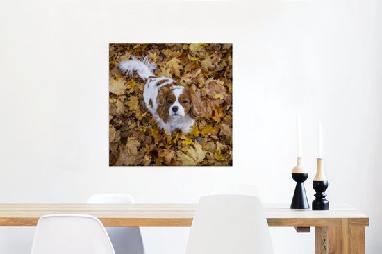 Cavalier King Charles Spaniel sous les feuilles d'automne Toile 50x50 cm - Tirage Photo sur Toile Peinture (Décoration murale Salon / Chambre) / Animaux domestiques Peintures sur Toile