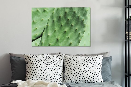 Tableau sur toile Cactus de Barbarie feuille vert menthe - 90x60 cm - Décoration murale