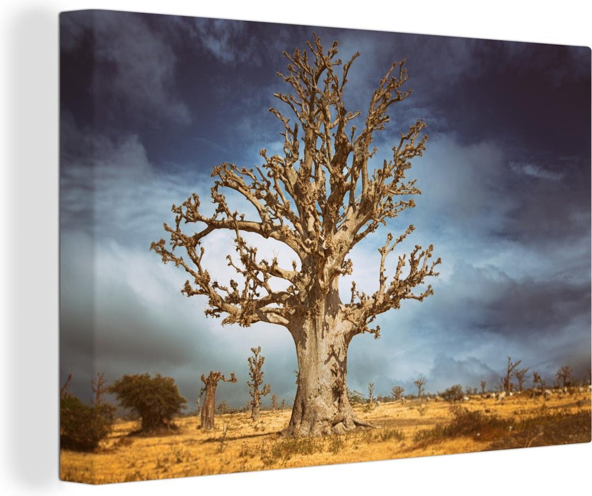 Canvas schilderij 140x90 cm - Wanddecoratie Enorme baobab boom voor een donkere lucht - Mu
