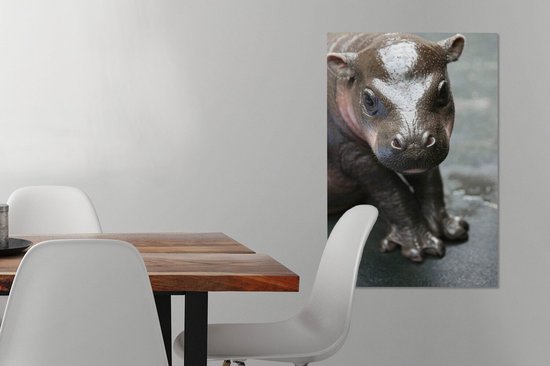 Bébé Hippo 60x90 cm - impression photo sur toile peinture (Décoration murale salon / chambre à coucher) / Les jeunes Animaux toile Peintures