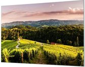Wandpaneel Toscaanse wijn boerderij  | 100 x 70  CM | Zilver frame | Akoestisch (50mm)