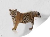 Tigre debout avec reflet sur fond blanc affiche de jardin toile en vrac 160x120 cm - Toile de jardin / Toile d'extérieur / Peintures d'extérieur (décoration de jardin) XXL / Groot format!