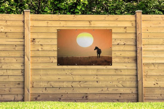 Affiche de jardin Cheval sauvage sur prairie 120x80 cm - Toile de jardin / Toile d'extérieur / Peintures pour l'extérieur (décoration de jardin)