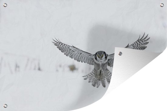 Muurdecoratie Vliegende Hawkuil - 180x120 cm - Tuinposter - Tuindoek - Buitenposter