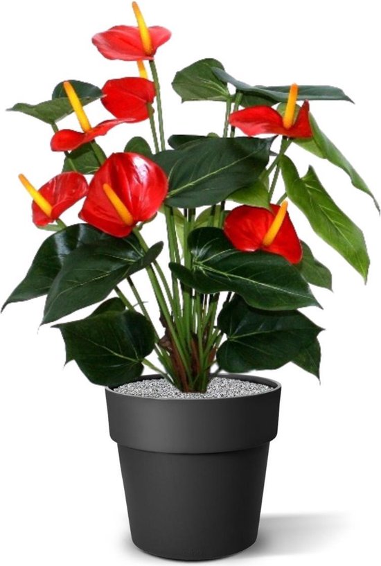 Anthurium deluxe kunstplant 50cm - rood