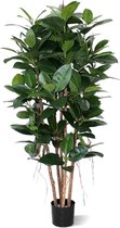 Philodendron Kolom 155cm