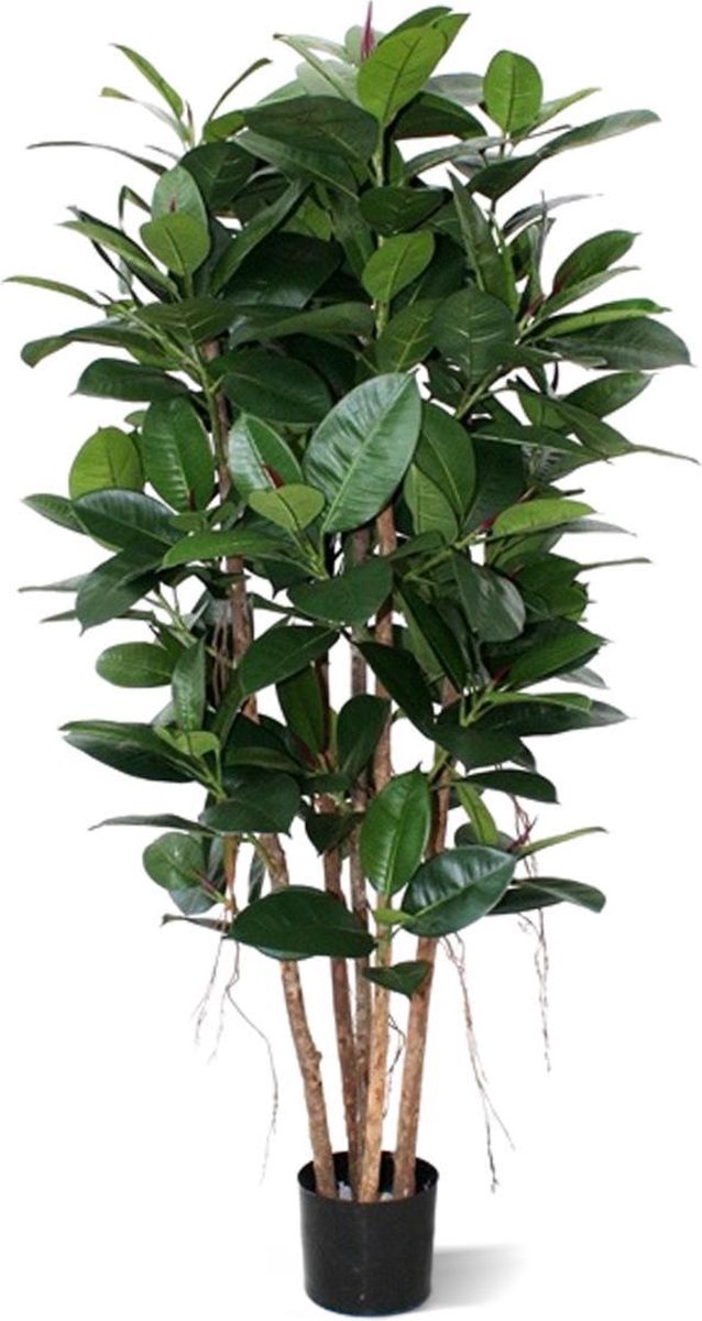 Maxifleur Philodendron Kolom 155cm groen