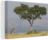 Canvas Schilderij Een giraffe op de savanne van het Nationaal park Murchison Falls - 90x60 cm - Wanddecoratie