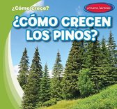 ?Como Crecen Los Pinos? (How Do Pine Trees Grow?)