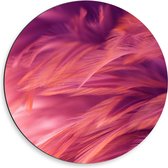 Dibond Wandcirkel - Roze Vogelveren - 50x50cm Foto op Aluminium Wandcirkel (met ophangsysteem)