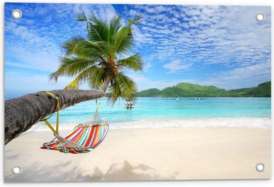 Tuinposter – Hangmat aan Palmboom op Tropisch Eiland - 60x40cm Foto op Tuinposter  (wanddecoratie voor buiten en binnen)