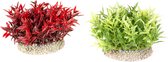 Aqua Della - Aquariumdecoratie - Vissen - Plant Miracle Moss S - Height 7,5cm Gemengde Kleuren - 1st