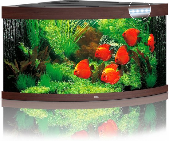 Juwel Aquarium Trigon 350 Led 87x87x65 cm – Aquaria – Donker Hout