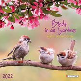 Birds in our Garden 2022 What a Wonderful World