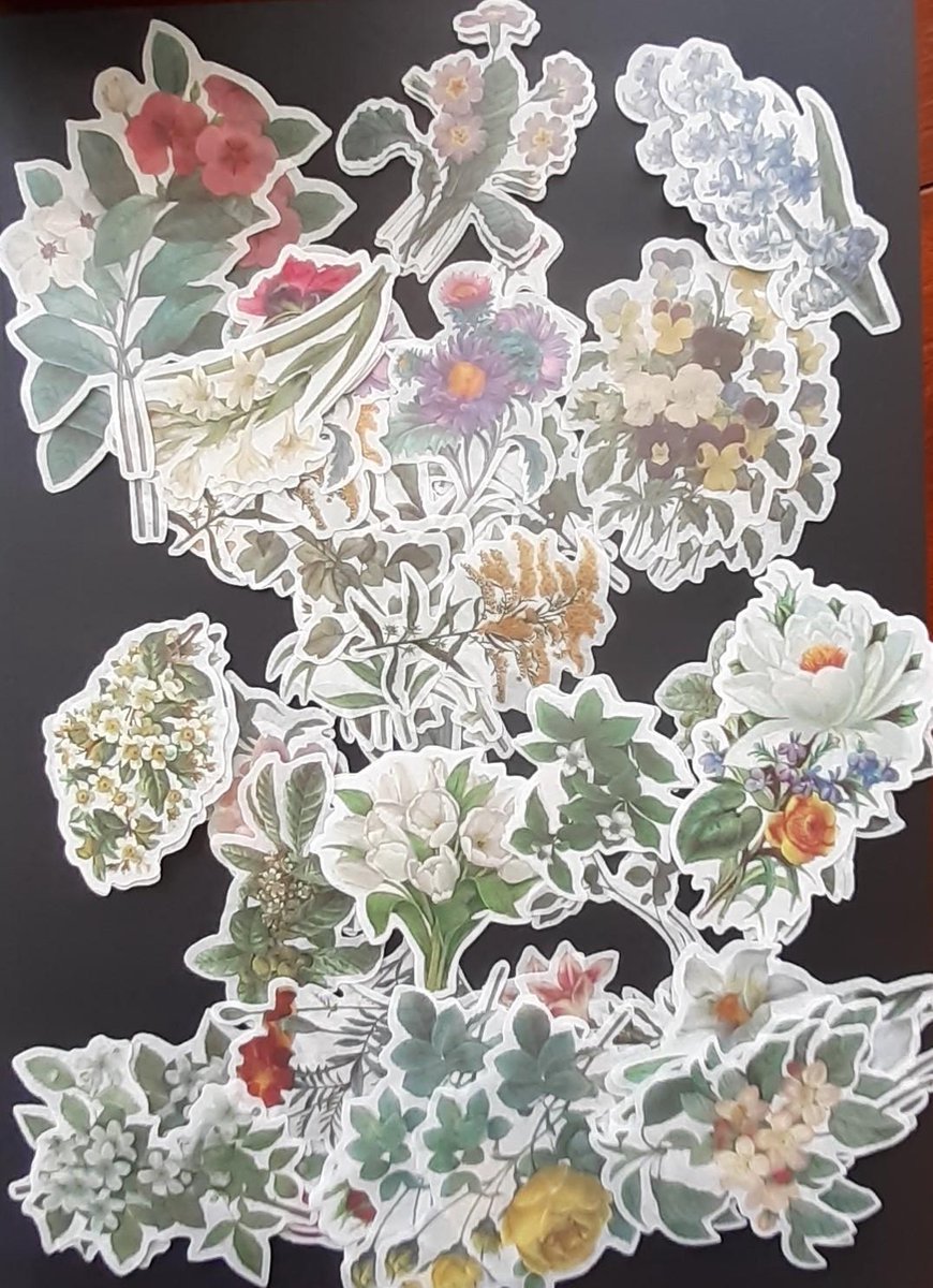 Washi Stickers Thema Bloemen - 60 Stickers - Bloemen En Planten Sticker - Bullet Journal - Stickers Voor Volwassenen - Scrapbooking - Agenda Stickers - Decoratie Sticker Washi Tape — afbeelding 5
