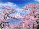 Fuji-berg en kersenbloesems in de lente, Japan - 500 Stukjes puzzel voor volwassenen - Besteposter - Landschap