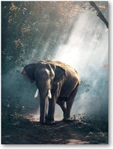 Olifant - 30x40 Poster Staand - Besteposter - Dieren