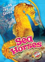 Ocean Life Up Close - Sea Horses