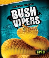 Amazing Snakes! - Bush Vipers