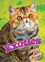 Cool Cats - Exotics