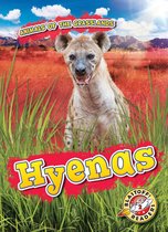 Animals of the Grasslands - Hyenas