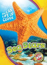 Ocean Life Up Close - Sea Stars