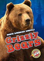 North American Animals - Grizzly Bears