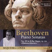 Beethoven/Piano Sonatas - Vol 9