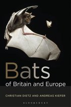 Bats Of Britain & Europe