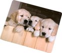 Hama 04754760 Puppies Muismat - Bont
