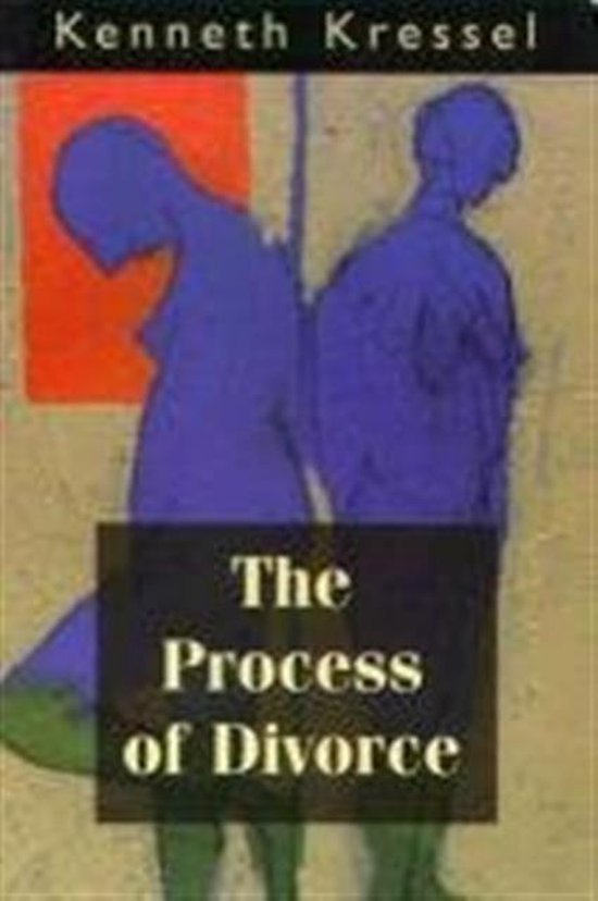The Process of Divorce - cover