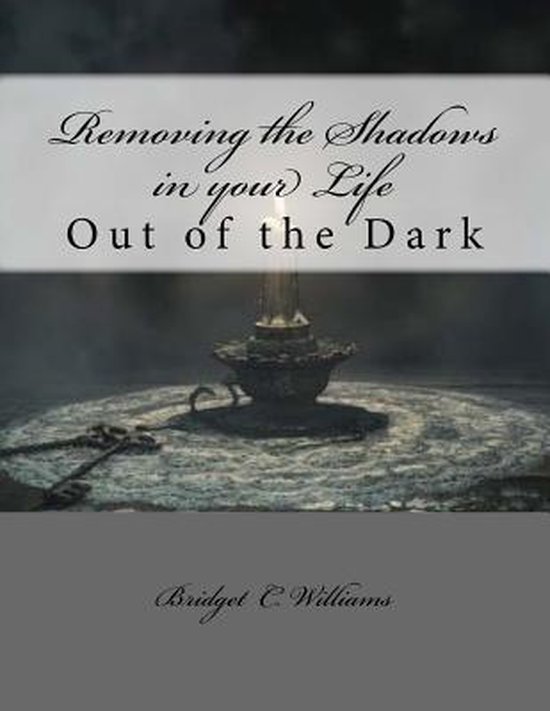 Adjusting Your Life Style Series Bridget C. Williams- Removi ... - cover