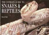 The Ultimate Guide To Snakes & Reptiles