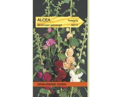 Oranjeband Zaden - Stokroos Chater's gemengd (Alcea rosea)