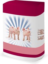 Varkensbrok Hobby - Varkenskorrel - Varkensvoer hobbyvarken 20kg