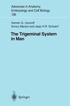 The Trigeminal System in Man