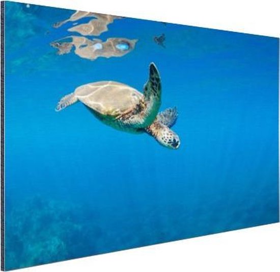 Tortue nageant dans l'océan Aluminium 60x40 cm - Tirage photo sur aluminium (décoration murale en métal)