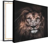 Canvas Schilderij | Lion Scar |  60 x 60 cm | PosterGuru