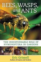 Bees, Wasps, and Ants