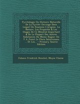 Pyritologie Ou Histoire Naturelle de La Pyrite