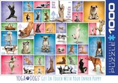 Puzzle Eurographics Yoga Dogs - 1000 pièces
